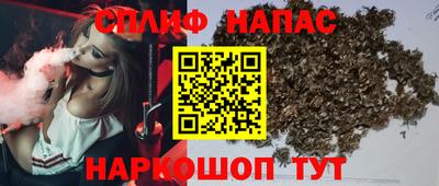 стаф Будённовск