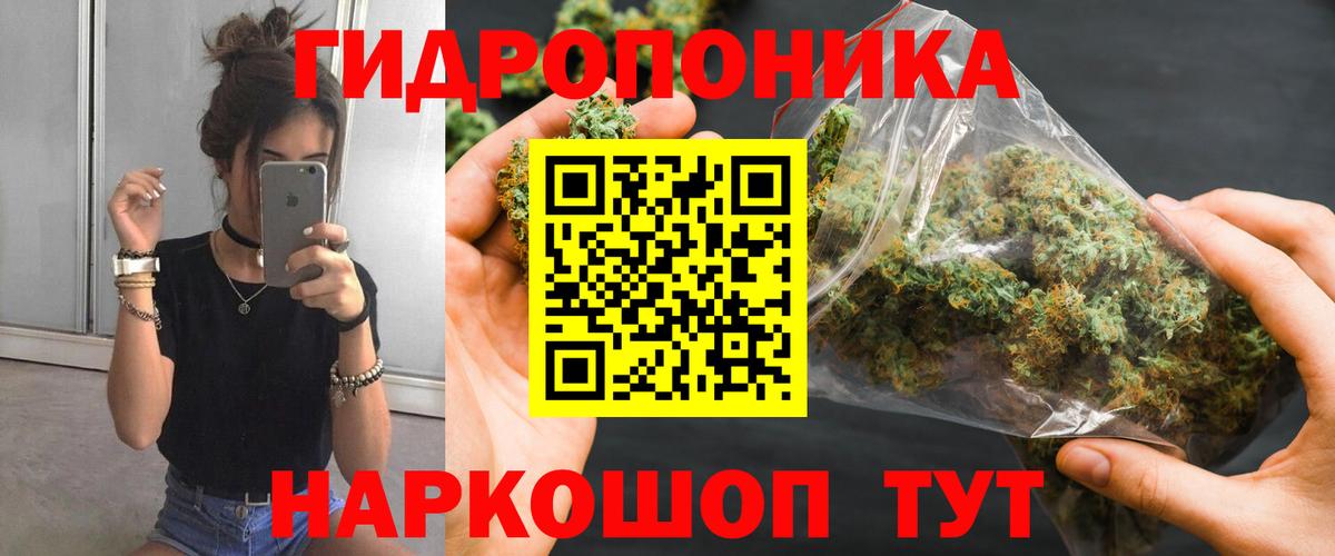Конопля Bruce Banner Саяногорск